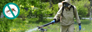 Лучшие способы уничтожения комаров для борьбы с назойливыми насекомыми